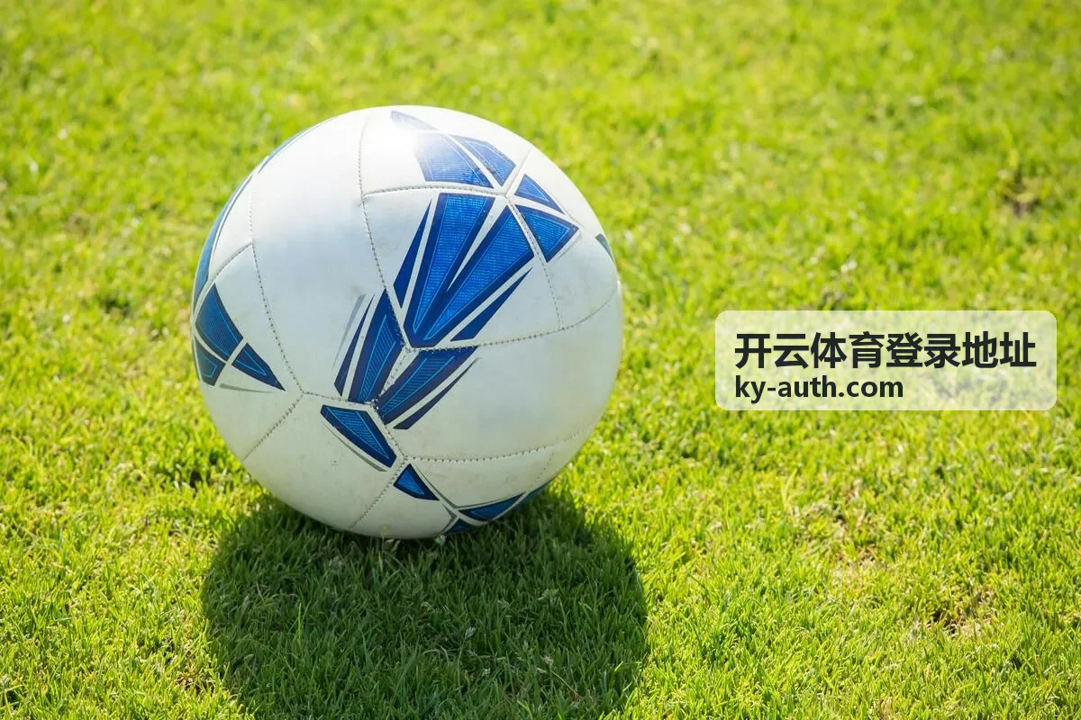 开云体育登录地址金融行业案例